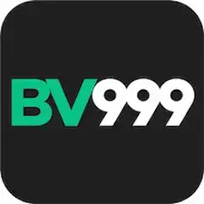 BV999 Game icon