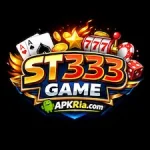 ST333 Game
