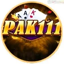PAK 111 Game icon